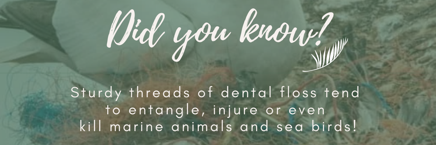 Did you know?