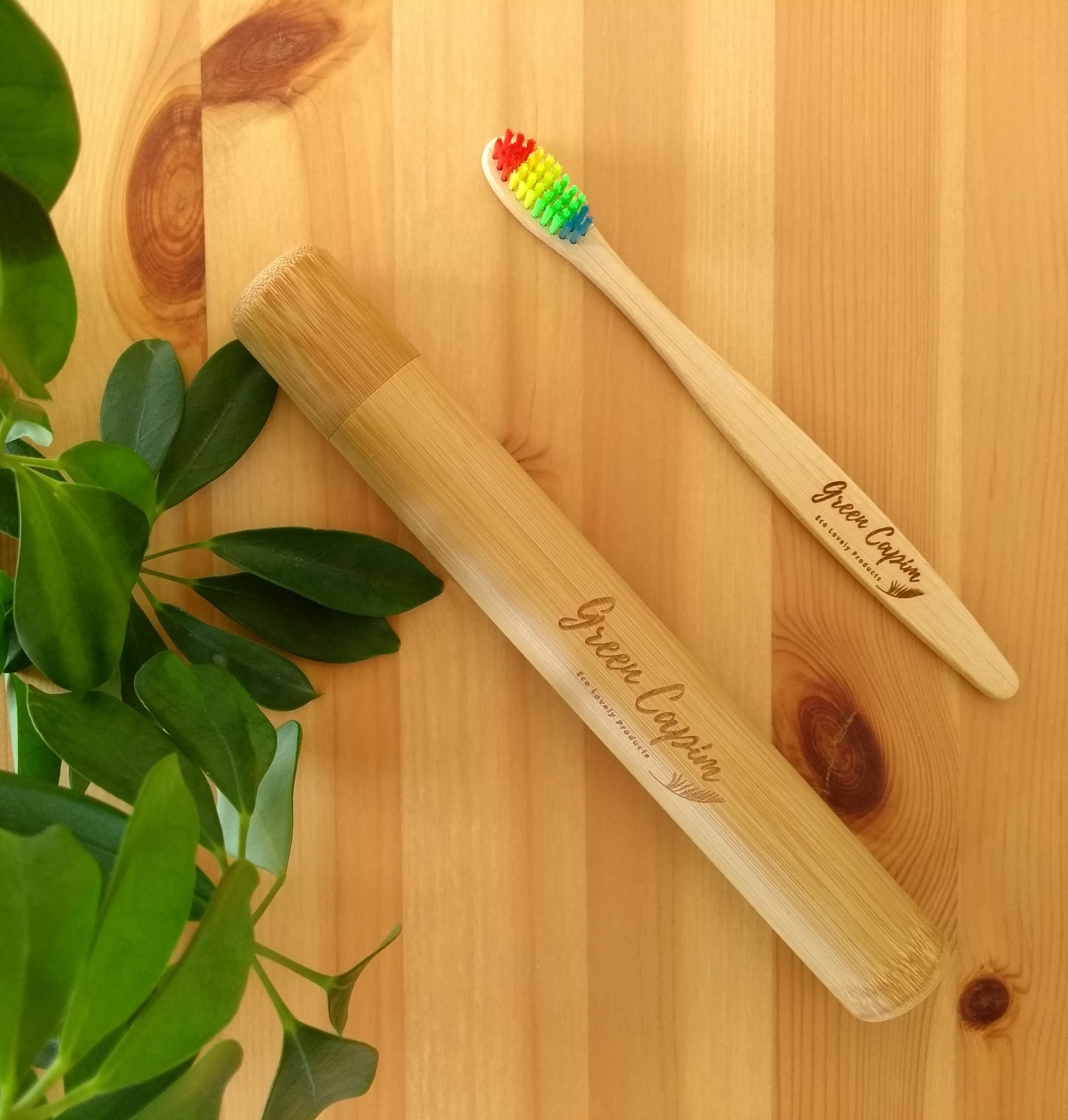combo_toothbrush_toothbrush_case_1
