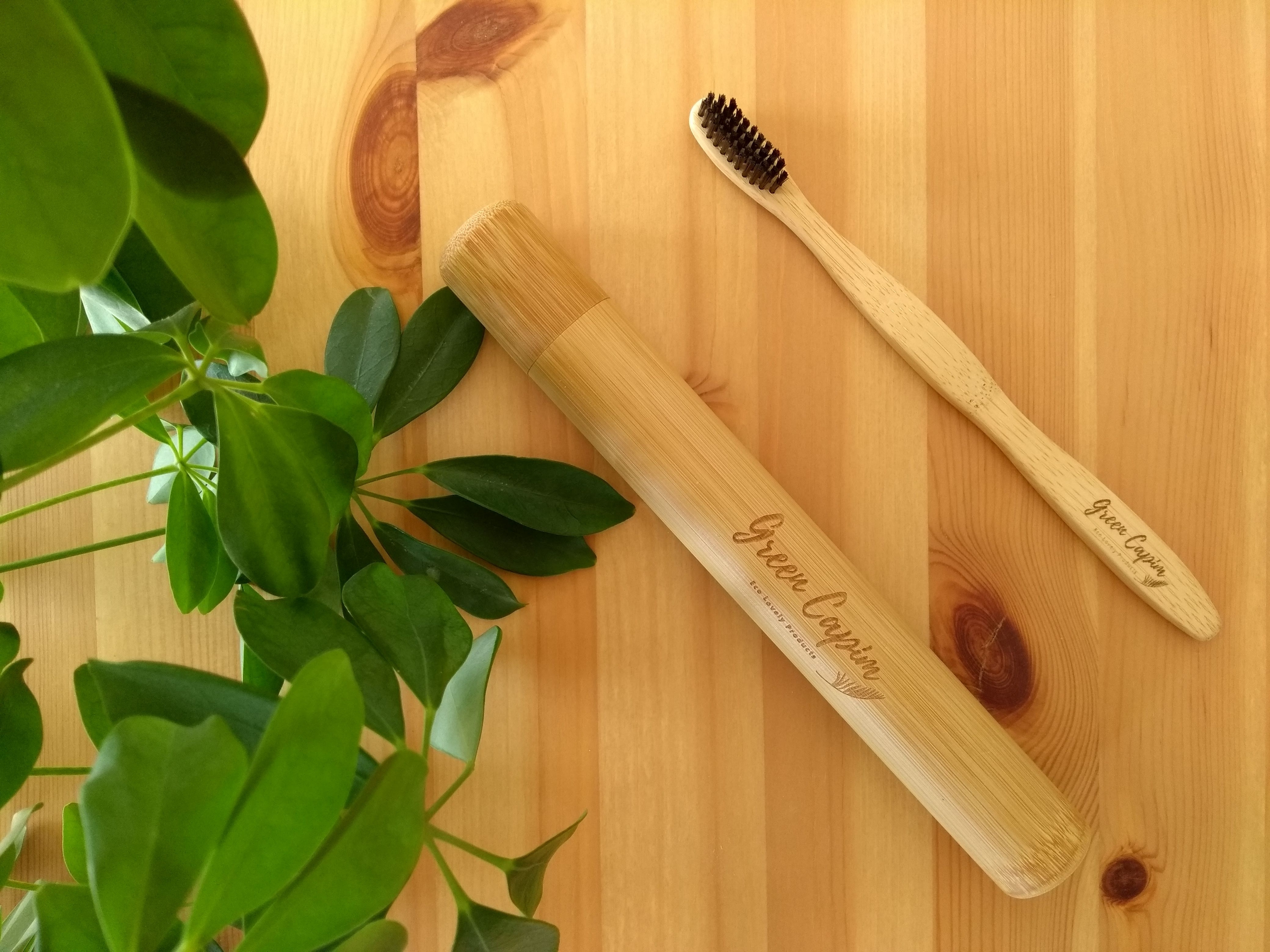 combo_toothbrush_toothbrush_case_2