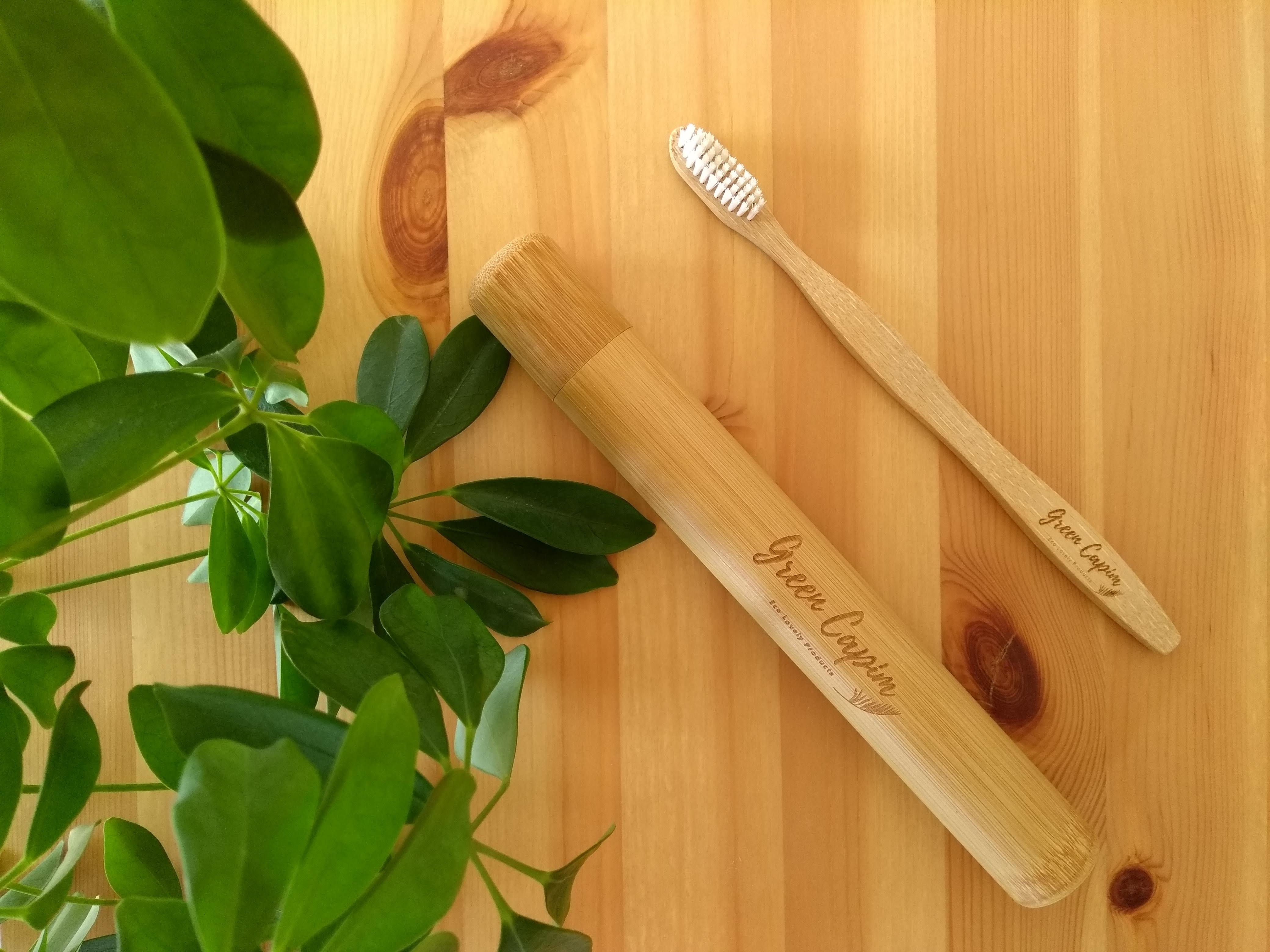 combo_toothbrush_toothbrush_case_4