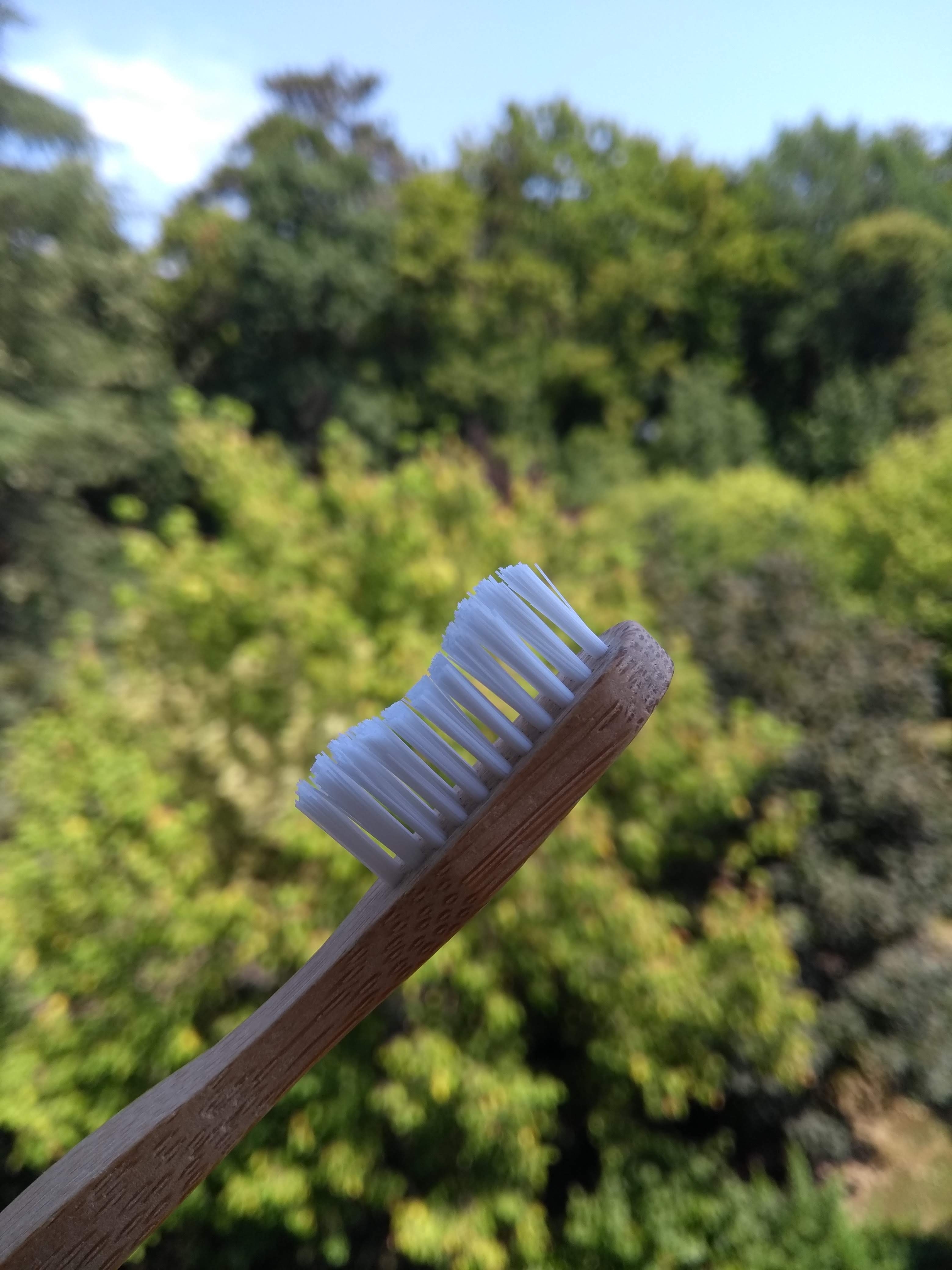 toothbrush_white_3