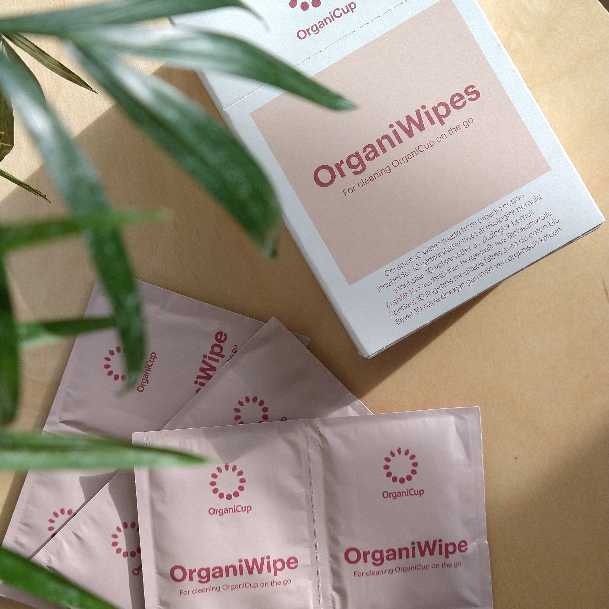 organiwipes_1