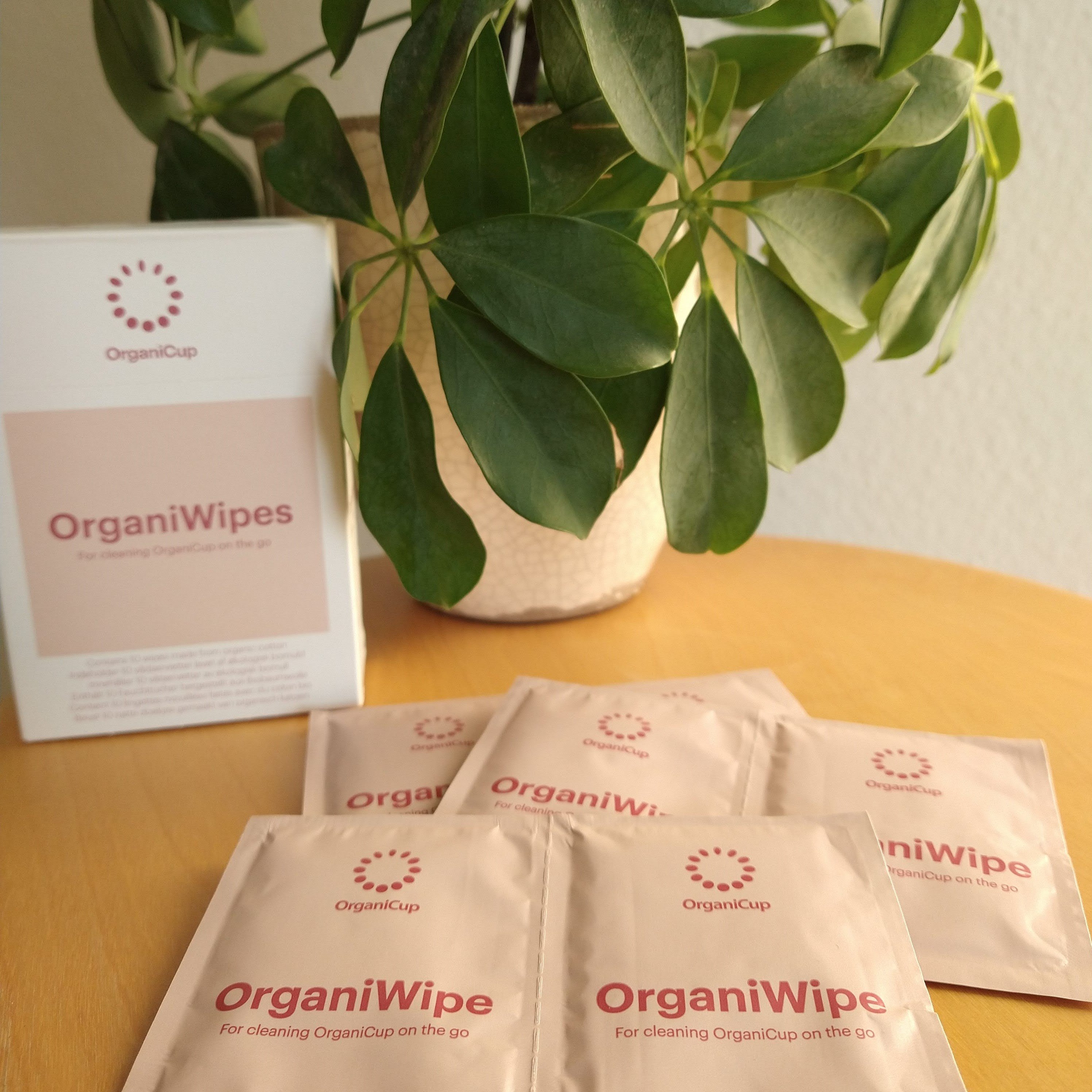 organiwipes_2