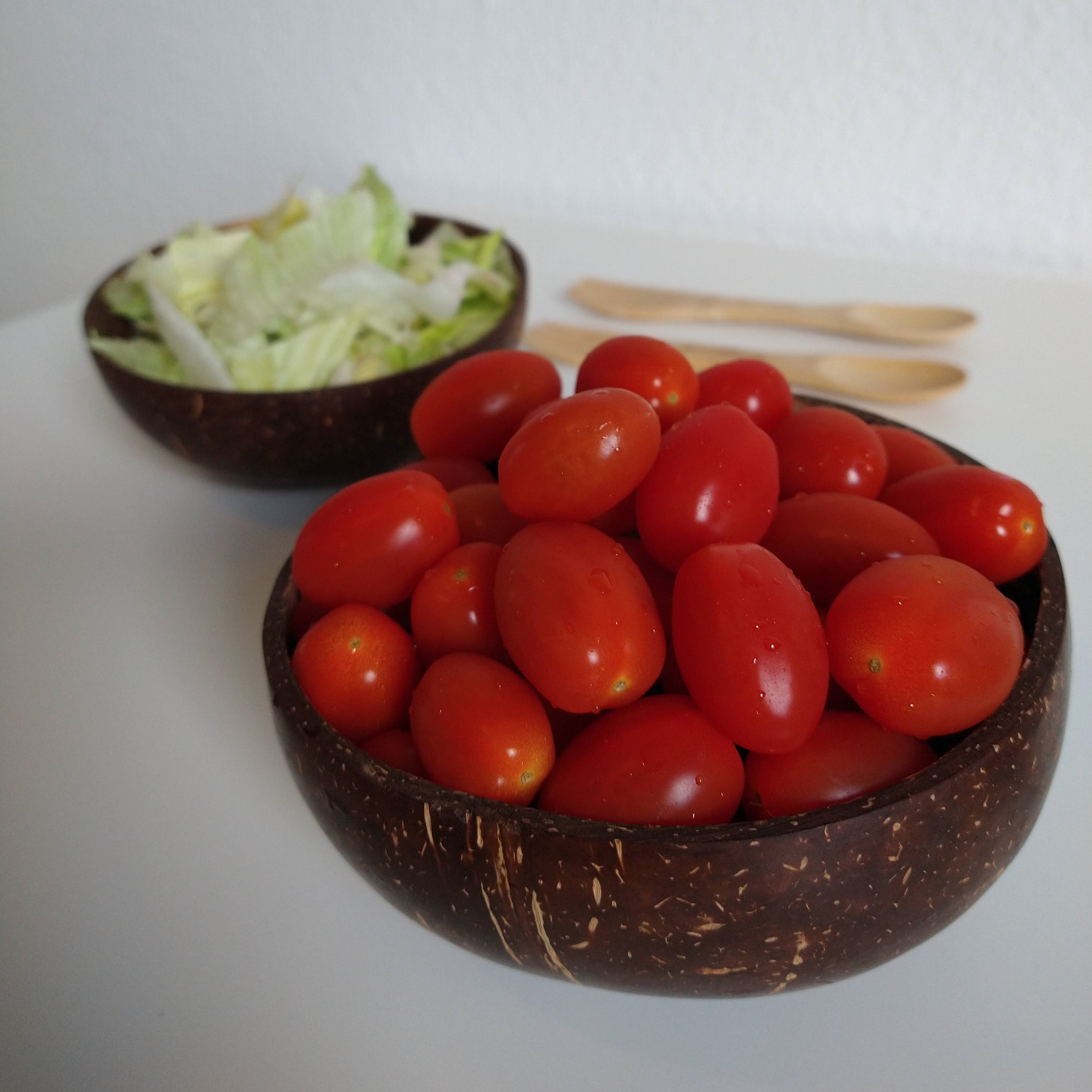 coconut_bol_1square