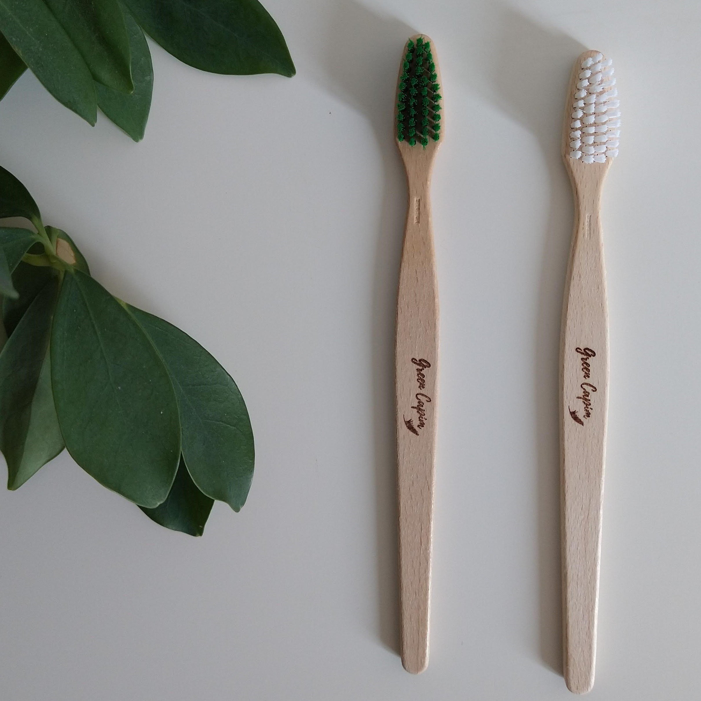 toothbrush_wood_10_square