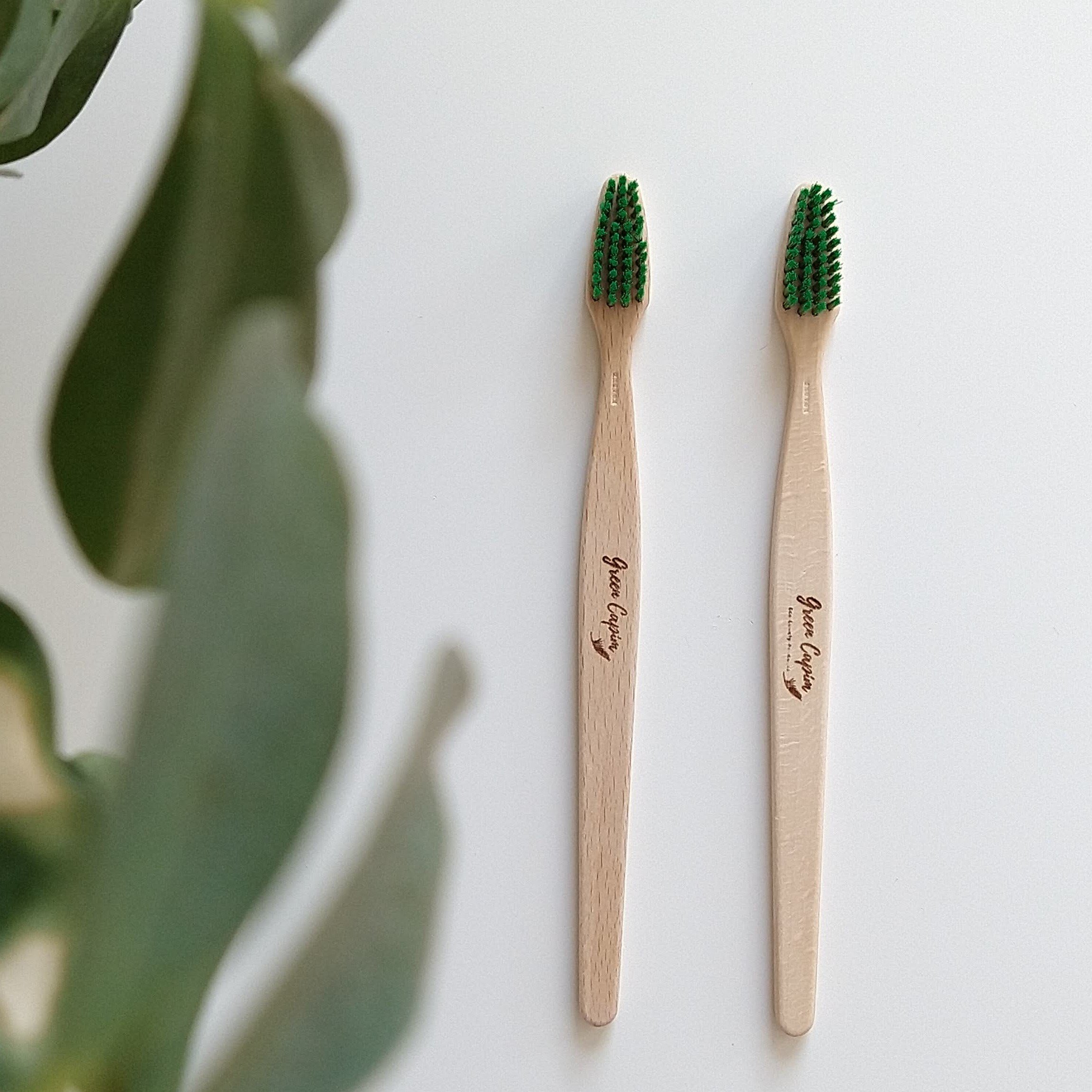 toothbrush_wood_15_square